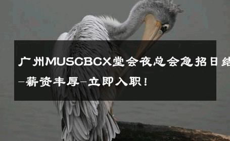广州MUSCBCX堂会夜总会急招日结-薪资丰厚-立即入职！ 