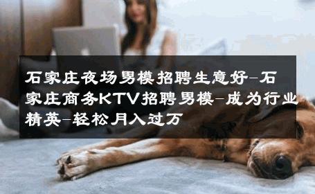 石家庄夜场男模招聘生意好-石家庄商务KTV招聘男模-成为行业精英-轻松月入过万 
