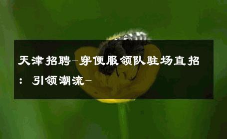 天津招聘-穿便服领队驻场直招：引领潮流- 