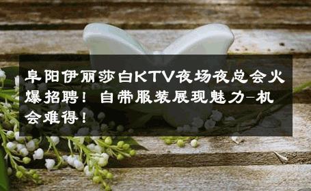 阜阳伊丽莎白KTV夜场夜总会火爆招聘！自带服装展现魅力-机会难得！ 