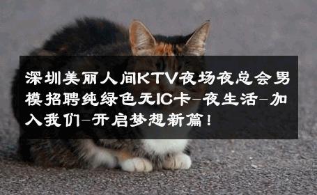 深圳美丽人间KTV夜场夜总会男模招聘纯绿色无IC卡-夜生活-加入我们-开启梦想新篇！ 