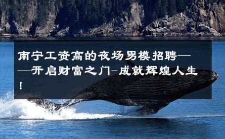南宁工资高的夜场男模招聘——开启财富之门-成就辉煌人生！ 