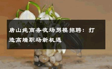 唐山纯商务夜场男模招聘：打造高端职场新机遇 