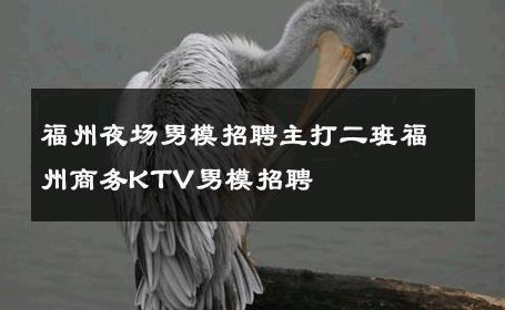 福州夜场男模招聘主打二班福州商务KTV男模招聘 