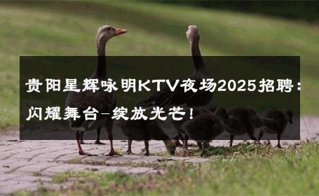 贵阳星辉咏明KTV夜场2025招聘：闪耀舞台-绽放光芒！ 