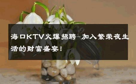 海口KTV火爆招聘-加入繁荣夜生活的财富盛宴！ 