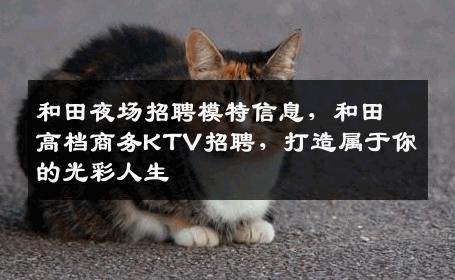 和田夜场招聘模特信息，和田高档商务KTV招聘，打造属于你的光彩人生