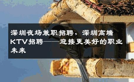 深圳夜场兼职招聘，深圳高端KTV招聘——迎接更美好的职业未来