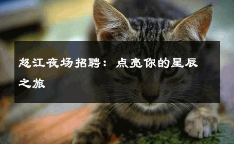 怒江夜场招聘：点亮你的星辰之旅 