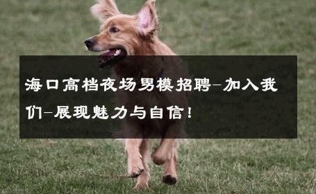 海口高档夜场男模招聘-加入我们-展现魅力与自信！ 
