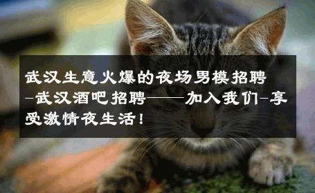 武汉生意火爆的夜场男模招聘-武汉酒吧招聘——加入我们-享受激情夜生活！ 