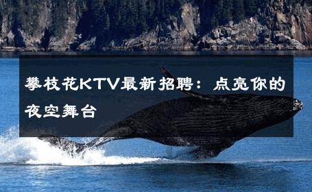 攀枝花KTV最新招聘：点亮你的夜空舞台 