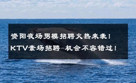 资阳夜场男模招聘火热来袭！KTV素场招聘-机会不容错过！ 