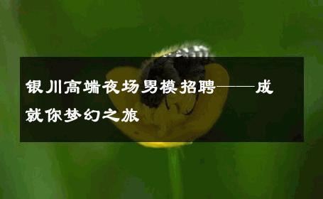 银川高端夜场男模招聘——成就你梦幻之旅 