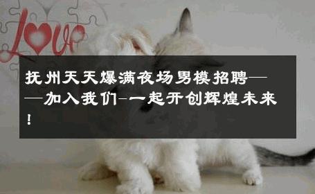 抚州天天爆满夜场男模招聘——加入我们-一起开创辉煌未来！ 