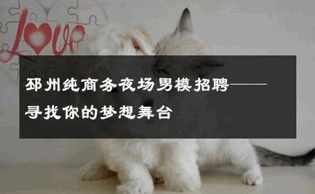 邳州纯商务夜场男模招聘——寻找你的梦想舞台 
