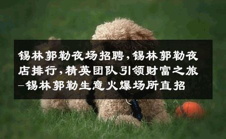锡林郭勒夜场招聘,锡林郭勒夜店排行,精英团队引领财富之旅-锡林郭勒生意火爆场所直招