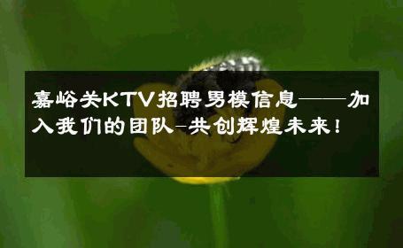 嘉峪关KTV招聘男模信息——加入我们的团队-共创辉煌未来！ 