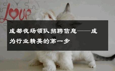 成都夜场领队招聘信息——成为行业精英的第一步 