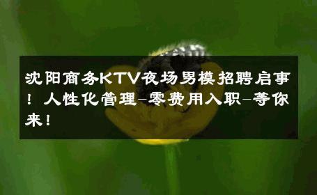 沈阳商务KTV夜场男模招聘启事！人性化管理-零费用入职-等你来！ 