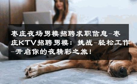 枣庄夜场男模招聘求职信息-枣庄KTV招聘男模：挑战-轻松工作-开启你的夜精彩之旅！ 