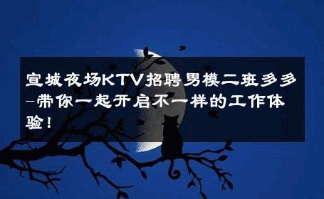 宣城夜场KTV招聘男模二班多多-带你一起开启不一样的工作体验！ 