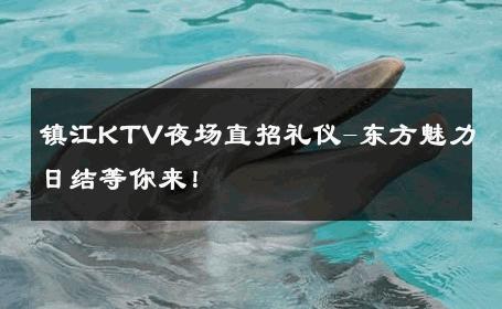 镇江KTV夜场直招礼仪-东方魅力日结等你来！ 