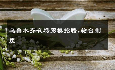 乌鲁木齐夜场男模招聘,轮台制度 