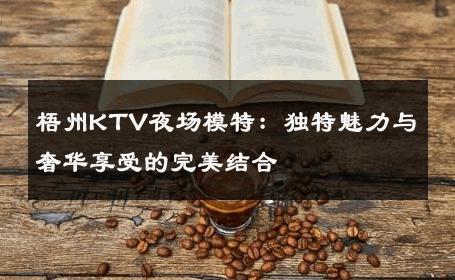 梧州KTV夜场模特：独特魅力与奢华享受的完美结合