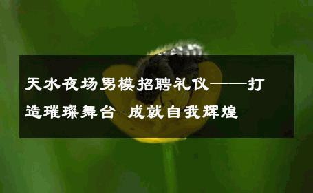 天水夜场男模招聘礼仪——打造璀璨舞台-成就自我辉煌 