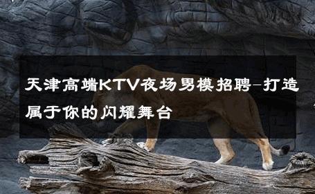 天津高端KTV夜场男模招聘-打造属于你的闪耀舞台 