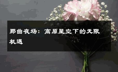 那曲夜场：高原星空下的无限机遇 