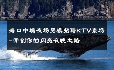海口中端夜场男模招聘KTV素场-开创你的闪亮夜晚之路 