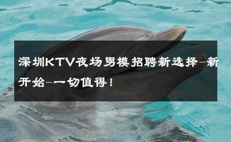 深圳KTV夜场男模招聘新选择-新开始-一切值得！ 
