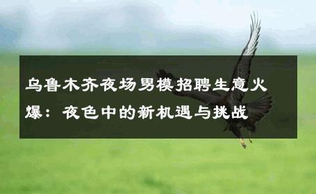 乌鲁木齐夜场男模招聘生意火爆：夜色中的新机遇与挑战 
