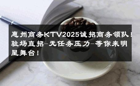 惠州商务KTV2025诚招商务领队！驻场直招-无任务压力-等你来明星舞台！ 