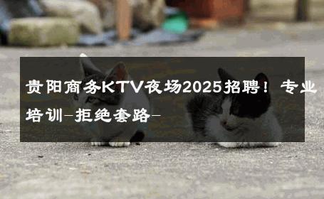 贵阳商务KTV夜场2025招聘！专业培训-拒绝套路- 
