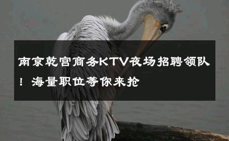 南京乾宫商务KTV夜场招聘领队！海量职位等你来抢 