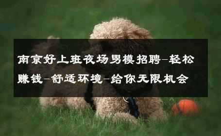 南京好上班夜场男模招聘-轻松赚钱-舒适环境-给你无限机会 