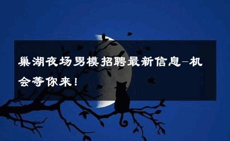 巢湖夜场男模招聘最新信息-机会等你来！ 
