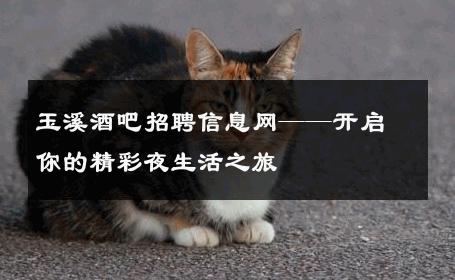 玉溪酒吧招聘信息网——开启你的精彩夜生活之旅 