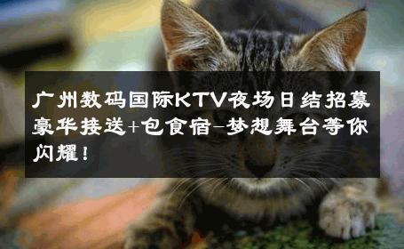 广州数码国际KTV夜场日结招募豪华接送+包食宿-梦想舞台等你闪耀！ 