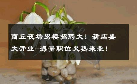 商丘夜场男模招聘大！新店盛大开业-海量职位火热来袭！ 