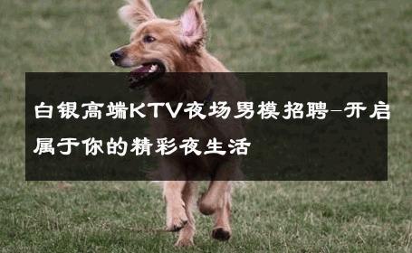 白银高端KTV夜场男模招聘-开启属于你的精彩夜生活 