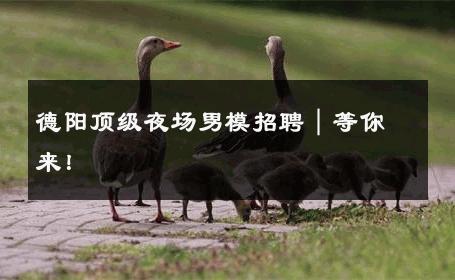 德阳顶级夜场男模招聘｜等你来！ 