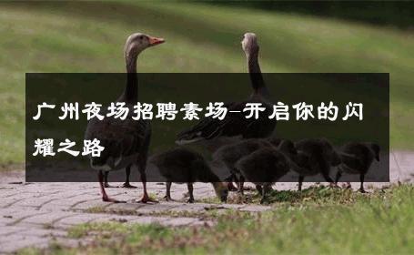 广州夜场招聘素场-开启你的闪耀之路 