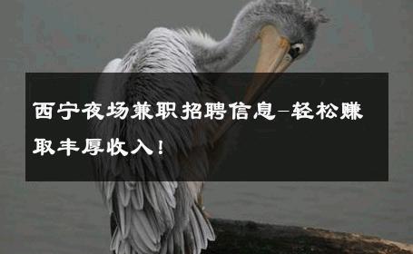 西宁夜场兼职招聘信息-轻松赚取丰厚收入！ 
