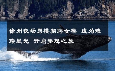 徐州夜场男模招聘女模-成为璀璨星光-开启梦想之旅 