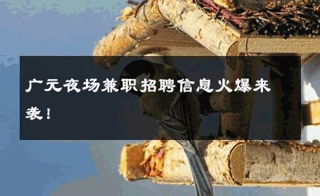广元夜场兼职招聘信息火爆来袭！ 