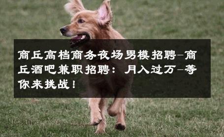 商丘高档商务夜场男模招聘-商丘酒吧兼职招聘：月入过万-等你来挑战！ 